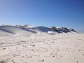 Lancelin Wedge Island (16)